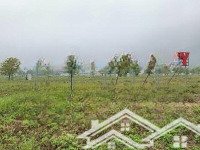 bán cắt lỗ mảnh 100m2 trục chính tnr yên bái