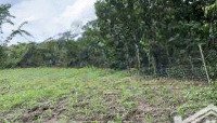 bán thửa đất 342m2 xã tân phước huyện đồng phú tỉnh bình phước