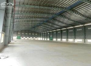 Bán kho, nhà xưởng, cây xăng 13.674m², giá tốt 58,5 tỷ tại Phước Trạch, Gò Dầu, Tây Ninh.