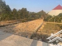 bán đất ấp phú, quang vinh, ân thi, 110m lô đẹp giá tốt cho nhà đầu tư