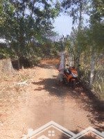 cần bán gấp 1000m2 có 20m mặt tiền đường nhựa chưa tc có thể lên thổ cư chính chủ sổ hồng