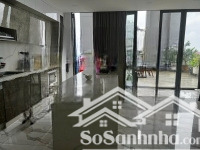 cần bán căn hộ penthouse xi grand court - 348 m2 - nội thất cao cấp - giá 21 tỷ(thương lượng)