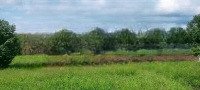 hàng hiếm tại tân phước, đồng phú, bình phước, 340 triệu, 5000 m2
