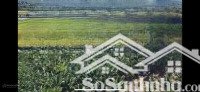 bán 3hecta đất vườn trái cây mô hình phát triển du lịch sinh thái. 7,9 tỷ