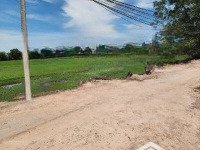 184m2 đất thổ cư đường 7m giá chỉ 1 tỷ 050 triệu/ shr | 0915.852.991