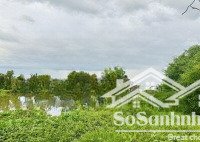 em lấy chồng sớm, bán đất 3000m2 - giá hời - lấy tiền làm của hồi môn