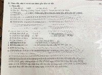 bán đất mặt tiền đường lò lu quận 9