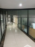 tập đoàn hải phát cho thuê gấp sàn vp tổ hợp roman plaza - mỗ lao, s 50m2 đến 276m2, giá 210k/m2