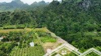 chính chủ cần bán 2600m2 đất có 400m2 thổ cư gần chùa tiên, lạc thủy, hòa bình