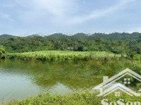 bán 8632 m2 đất tại thành tân - thạch thành - thanh hoá