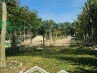 cần bán đất dầu tiếng bình dương. view sông thị tính, đường chuẩn bị lên nhựa! diện tích 2.147,7m2