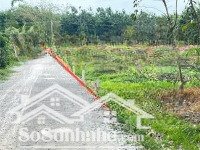 chủ hạ giá bán nhanh gọn, công chứng sớm, 5x28m full thổ cư gần khu tđc phước đông, chỉ 290tr
