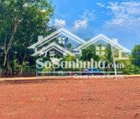 bán sào đất 1.480 m2, thổ cư sẳn liền kề, giá 225 triệu, nhựa đổ vào 500m, gần tt chợ trườn
