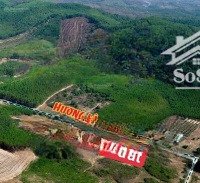 bán đất mặt tiền hương lộ 62 diên tân diên khánh, đường quy hoạch rộng 30m, giá tốt đầu tư