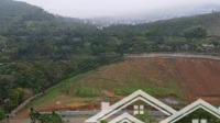 1000m đất cây lâu năm ( quy hoạch thổ cư) (tặng kèm khoảng 400m đất ngoài hồ sơ)
-giá rẻ nhất xã đ