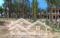 bán đất resort mặt tiền đường lạc long quân, tiến thành 5500m2
