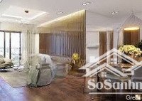căn hộ 2pn tại bigemco, lý thường kiệt, quận 11, tp. hcm, 12 triệu, 70m2