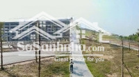 bán đất tặng nhà cấp 4! tây tựu, sát đl tây thăng long: 250m2, mt 11m; giá rẻ như cho 101tr/m2
