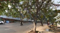chính chủ gửi bán lô đất mặt tiền đường trần nhân tông - dt 95m2, bớt lộc