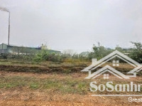 2248m2 full đất vườn phù hợp làm xưởng, giá chỉ hơn 2tr/m. mặt tiền gần 80m, thế đất bằng phẳng