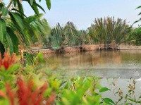 cho thuê hồ câu cá giải trí p.an phú quận 2 dt 6000m2 giá chì 30tr/m2 lh 0938369676 thắm
