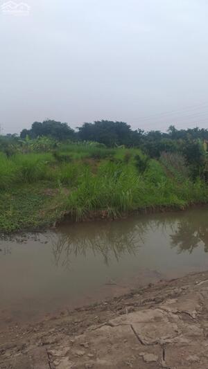 Bán 1ha đất công nghiệp tại Lai Cách, Cẩm Giàng, Hải Dương. Đất trả tiền 1 lần