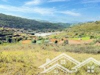 bán đất khu nghỉ dưỡng tại thị trấn lạc dương, 3 tỷ, 2969 m2, view đẹp, chính ẹp, chính chủ