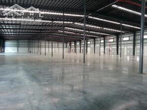 Cho thuê 20.000m² kho xưởng Gò Dầu, Tây Ninh.
