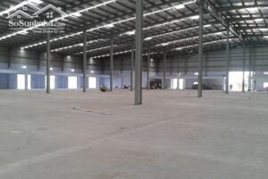 Cho thuê nhà xưởng 25.000m² - Chơn Thành, Bình Phước.