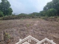 5x42m có thổ cư. đường xe hơi. dân cư đông. 510 tr