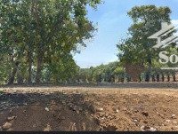 bán đất tại phú trung, phú riềng, bình phước, 270 triệu, 1000 m2 giá tốt