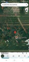 chủ gửi, bán gấp 3ha xã minh đức, hớn quảng, bình phước giá chỉ 3,5t tỷ/ha