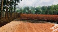 cần bán gấp đất trông cây lâu năm , phù hơp làm trang trại , đường đất hớn quản , binh phước