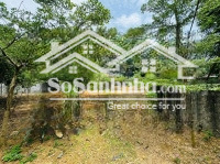 siêu phẩm nghỉ dưỡng nhà vườn cho ac thích chữa lành và yêu thiên nhiên đây ạ dt : 720m có 80 m t