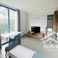 khai trương siêu phẩm view sông đầy đủ nội thất hiện đại ban công thoáng hoàng sa quận 1