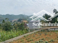 thơ mộng,view đẹp hết ý giá rẻ nhất thị trường 2,x tỷ
- diện tích 295m-80tc siêu đẹp
- mặt tiền 16m