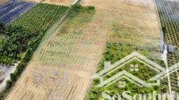 tiêu đề: bán đất vườn 4.000m2, có sẵn thổ cư 800 m2. hẻm tl832 tân bình, tân trụ, long an