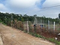cần bán 1650m2 đất đỏ bazan, full sầu riêng 6 tháng. đường bê tông thông