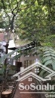 cho thuê nhà 2 tầng giữa vườn cây, ngay ngã tư sở chỉ cách ga láng 100m