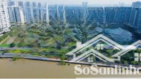 độc quyền 3 căn ngang 10m, thiết kế theo ý khách, làm vp, ở, kinh doanh bnb, hđ lâu dài, 85tr/tháng