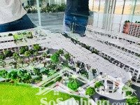 bán quỹ căn đẹp giá tốt tại dự án himlam central park phường an hồng, quận hồng bàng, tp hải phòng.