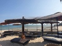 bán 5000m2 view biển super vip cạnh sungroup nguyễn đình chiểu, hàm tiến sân bay phan thiết 1.5tr/m