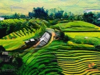 phù nham, nghĩa lộ, yên bái đất giá rẻ trong chu kỳ tăng giá