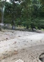 bán vườn cây ăn trái - đường tỉnh lộ 3 phước đồng, tp nha trang - 270k/m2