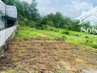 nơi an cư lý tưởng - đất đẹp gần khu công nghiệp - 358m2 trảng bàng - shr - công chứng ngay