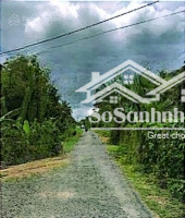 bán đấu giá thửa 513 xã mỹ cầm, huyện càng long, tỉnh trà vinh - giá thỏa thuận - 5292,3m2