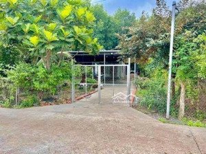 cô cần bán đất vườn rộng đến 1000m2 cô bán 650 triệu, ai mua liên hệ cô