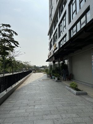 giá rẻ nhất khu chỉ 6tr/tháng mặt bằng kinh doanh diamond riverside 60m2, quận 8, bàn giao ngay mb