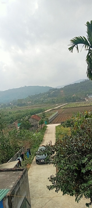 siêu phẩm nghỉ dưỡng viu cánh đồng siêu hiếm, tại hòa lạc gần các trường đh lớn tại cnc hòa lạc