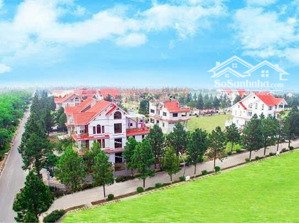 chủ nhà ở cầu giấy cần bán gấp biệt thự 200m2 để xoay dòng tiền, vị trí cực đắc địa, giá 80tr/m2